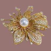 Untitled design (6)